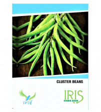 Iris OP Cluster Beans / Guar 20 Seeds